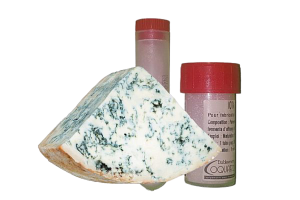 COQUARD Alpha Bleu 1 - Kksajtok starter keverke