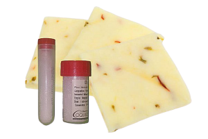 COQUARD Beta 6 - Gouda, Edami