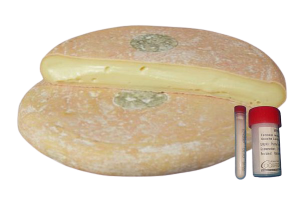 COQUARD IOTA R - Reblochon