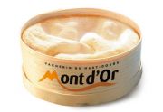  Iota Vacherin