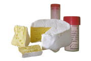   Iota Camembert