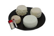   IOTA CL3 - Chevre