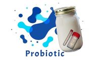   Lambda 21 - Joghurt kultra Lactob. Plantarummal