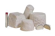  COQUARD Sigma 50 CL - Geotrichum candidum