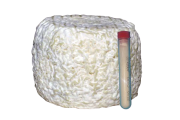  COQUARD Sigma 54 - Geotrichum candidum