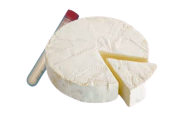  COQUARD Sigma 74 - Penicillium candidum