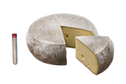  COQUARD Sigma 98 C - Szrazkrg Tomme aromja
